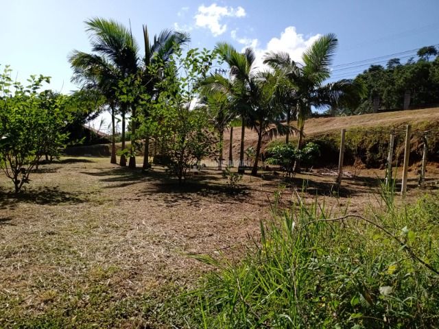 Terreno no bairro Ilha da Figueira em Jaraguá do S