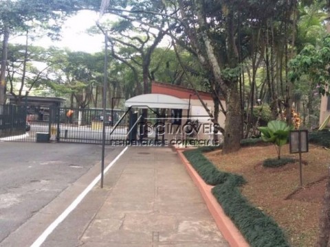 Apartamento  de 69m2 com 03 dormitórios   no  Morumbi Sul