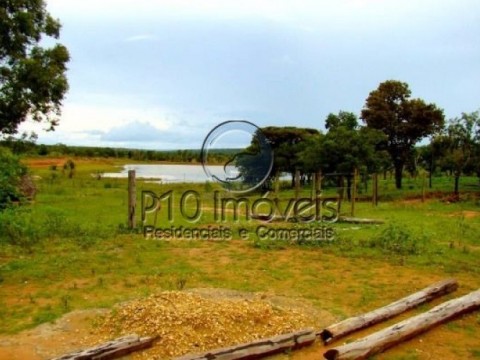 Fazenda de 4.000 hectares com Casa em Sao Romão Minas Gerais