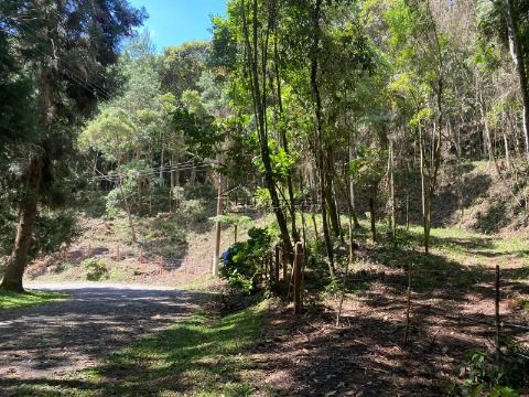 ﻿Terreno dentro de condomínio Alpes de Campos do Jordão de 4814,00m² à venda em Campos do Jordão 