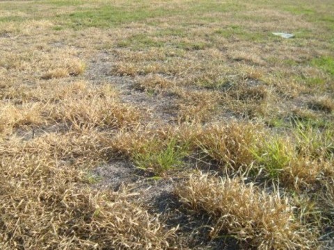 Terreno em Urbanova - São José dos Campos