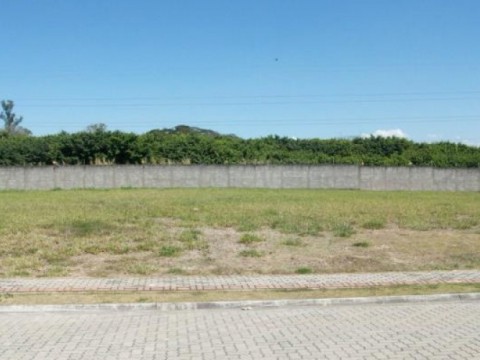 Terreno em Alto da Ponte - São José dos Campos