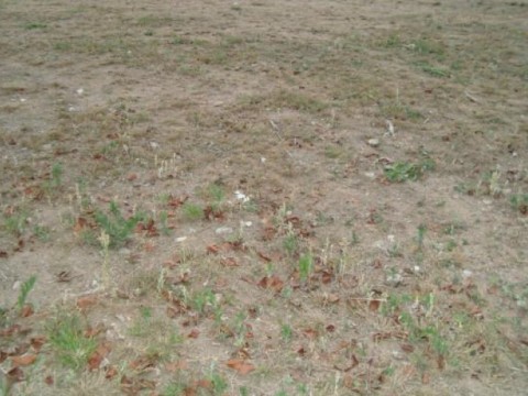 Terreno em Urbanova - São José dos Campos