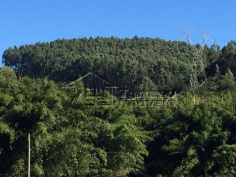 Linda fazenda em Itatiba com 33 Hectares