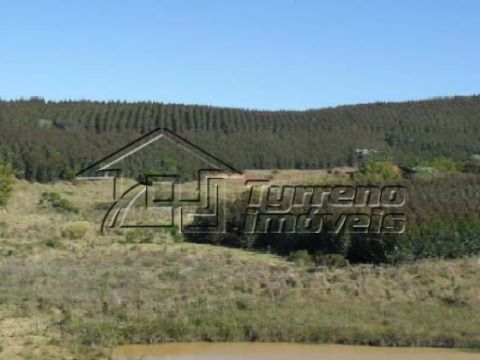 Fazenda com 133ha de eucaliptos em Guaratinguetá - SP