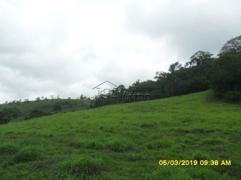 Maravilhosa fazenda com linda sede centenária em Minas Gerais